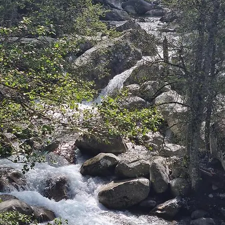 Mezzanine Climatise 40 M2 Bord De 公寓 里奇