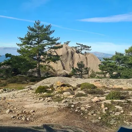 Mezzanine Climatise 40 M2 Bord De * Lecci