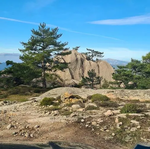 Mezzanine Climatisé 40 M2 Bord De * Lecci