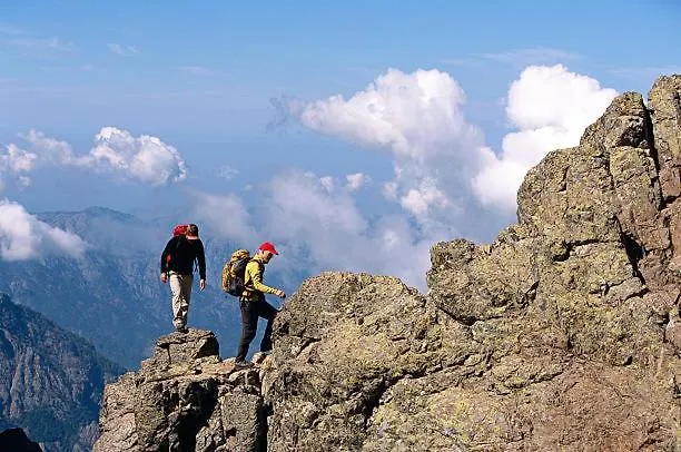 Mezzanine Climatisé 40 M2 Bord De * Lecci